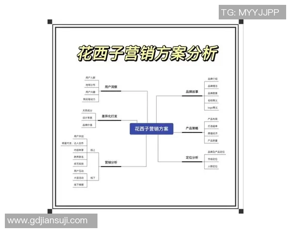 营销策划如何驱动品牌成长与市场拓展全面分析与策略建议