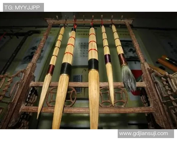 舞蹈艺术的魅力与传承探索：从传统到现代的跨越与创新之路