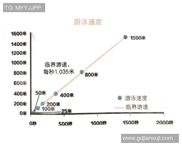 自由泳技巧解析:提高速度与耐力的关键要素及训练方法 自由泳技巧解析:提高速度与耐力的关键要素及训练方法